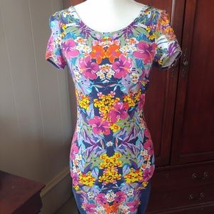 🧁3/$25🧁Felicity & Coco dress